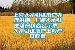 上海人才引进落户办理时间 上海人才引进落户状态公示中 人才引进落户上海户口政策