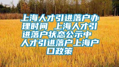 上海人才引进落户办理时间 上海人才引进落户状态公示中 人才引进落户上海户口政策