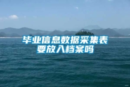 毕业信息数据采集表要放入档案吗