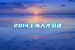 2014上海人才引进