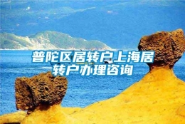 普陀区居转户上海居转户办理咨询