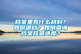 档案里有什么材料？如何调档？如何查询档案核查进度？