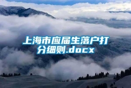 上海市应届生落户打分细则.docx