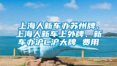 上海人新车办苏州牌、上海人新车上外牌、新车办沪C沪大牌 费用