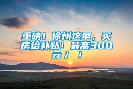 重磅！徐州这里，买房给补贴！最高300元／㎡！