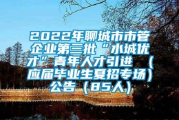 2022年聊城市市管企业第三批“水城优才”青年人才引进 （应届毕业生夏招专场）公告（85人）