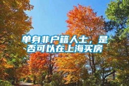 单身非户籍人士，是否可以在上海买房