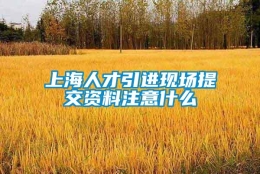 上海人才引进现场提交资料注意什么