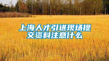 上海人才引进现场提交资料注意什么