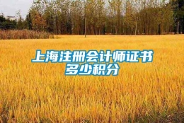 上海注册会计师证书多少积分