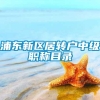 浦东新区居转户中级职称目录