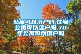 公寓可以落户吗,住宅公寓可以落户吗,70年公寓可以落户吗