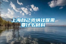 上海自己缴纳社保需要什么材料