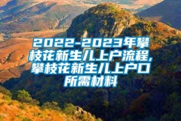 2022-2023年攀枝花新生儿上户流程,攀枝花新生儿上户口所需材料