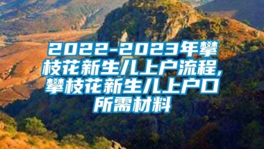 2022-2023年攀枝花新生儿上户流程,攀枝花新生儿上户口所需材料