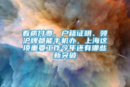 看病付费、户籍证明、领沪牌都能手机办，上海这项重要工作今年还有哪些新突破