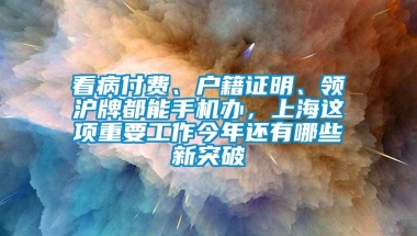 看病付费、户籍证明、领沪牌都能手机办，上海这项重要工作今年还有哪些新突破