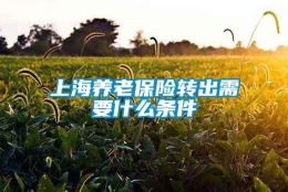 上海养老保险转出需要什么条件