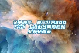 免申即享、最高补贴300万元！上海出台两项稳就业补贴政策