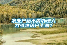 农业户籍不能办理人才引进落户上海？