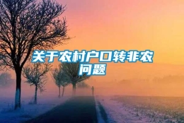 关于农村户口转非农问题