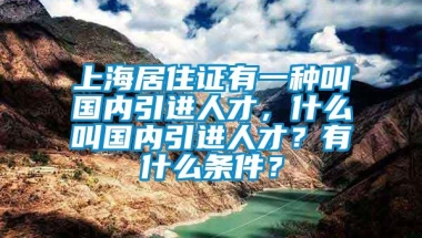 上海居住证有一种叫国内引进人才，什么叫国内引进人才？有什么条件？