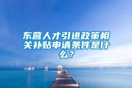 东营人才引进政策相关补贴申请条件是什么？