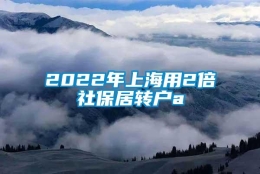 2022年上海用2倍社保居转户a