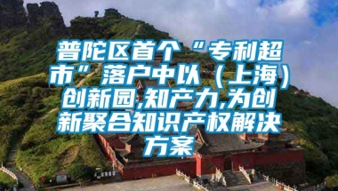 普陀区首个“专利超市”落户中以（上海）创新园,知产力,为创新聚合知识产权解决方案