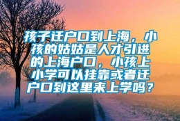 孩子迁户口到上海，小孩的姑姑是人才引进的上海户口，小孩上小学可以挂靠或者迁户口到这里来上学吗？