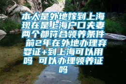 本人是外地嫁到上海现在是上海户口夫妻两个都符合领养条件 前2年在外地办理弃婴证+到上海可以用吗 可以办理领养证吗