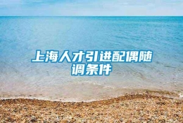 上海人才引进配偶随调条件