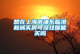 想在上海市浦东临港新城买房可没社保能买吗