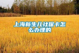 上海新生儿社保卡怎么办理的