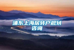 浦东上海居转户规划咨询