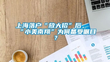 上海落户“放大招”后，“小美南翔”为何备受瞩目？