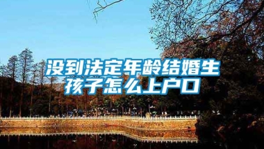 没到法定年龄结婚生孩子怎么上户口