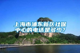 上海市浦东新区社保中心的电话是多少？