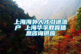 上海海外人才引进落户 上海华孚教育信息咨询供应