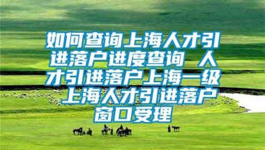 如何查询上海人才引进落户进度查询 人才引进落户上海一级 上海人才引进落户窗口受理