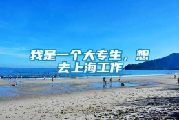 我是一个大专生，想去上海工作