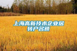 上海高新技术企业居转户名额