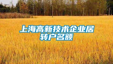 上海高新技术企业居转户名额