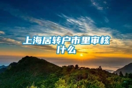 上海居转户市里审核什么