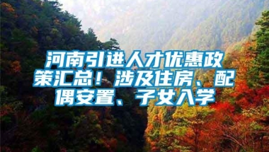 河南引进人才优惠政策汇总！涉及住房、配偶安置、子女入学