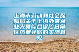 上海市劳动和社会保障局关于上海外来从业人员综合保险日常医药费补贴的实施意见