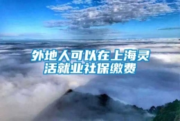 外地人可以在上海灵活就业社保缴费