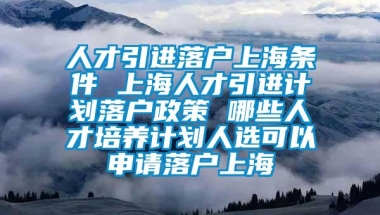 人才引进落户上海条件 上海人才引进计划落户政策 哪些人才培养计划人选可以申请落户上海