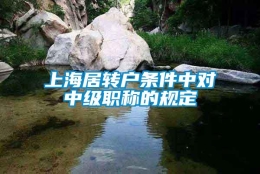 上海居转户条件中对中级职称的规定