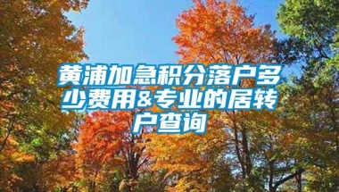 黄浦加急积分落户多少费用&专业的居转户查询